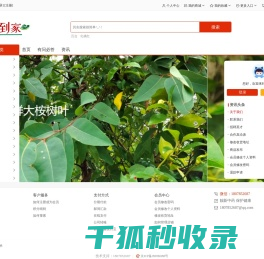靓新到家