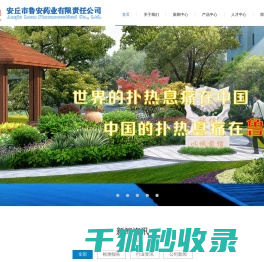 -安丘鲁安药业有限责任公司