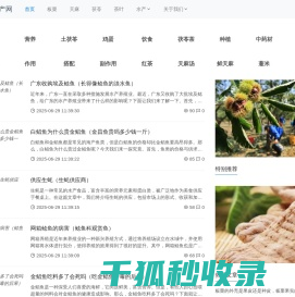 青苔关特产网