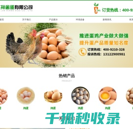 网站首页
