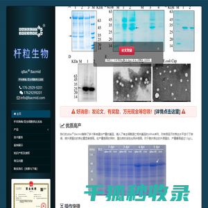 杆状病毒表达系统::昆虫细胞表达系统