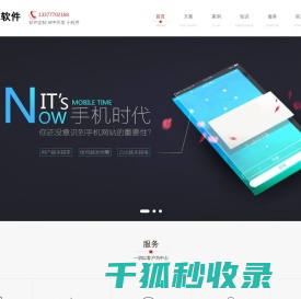 专业软件开发定制
