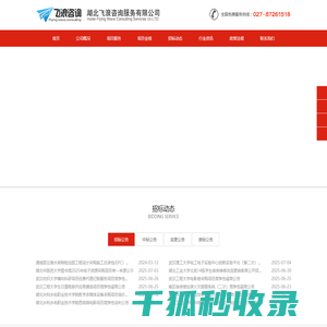 湖北飞浪咨询服务有限公司