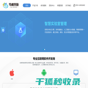 安徽笃明信息科技有限公司