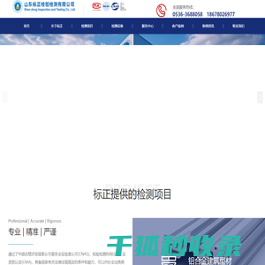 标正检测,